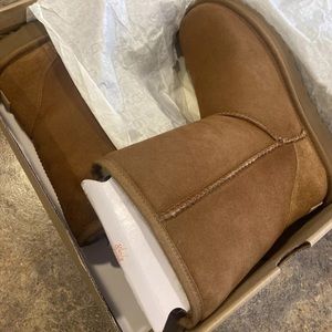 Classic short Ugg’s  famous chestnut color NIB